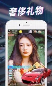 爆料整容直播视频下载,视频下载背后的惊人真相